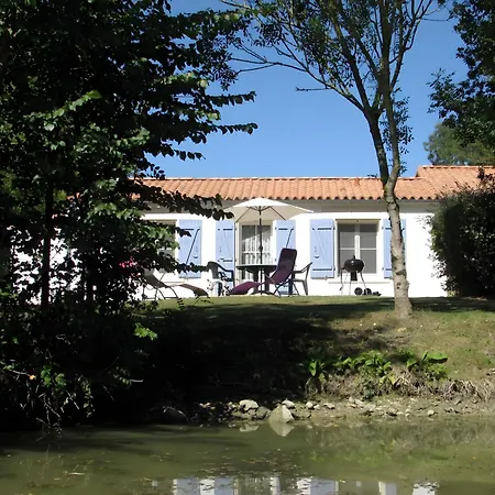 Tournesol -gites Au Bas Marais Nalliers (Vendee)