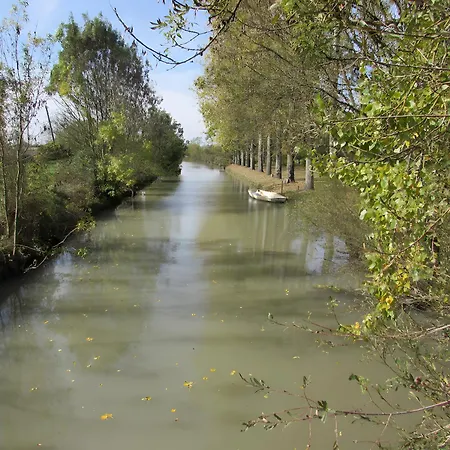 Appartement Tournesol -gîtes Au Bas Marais
