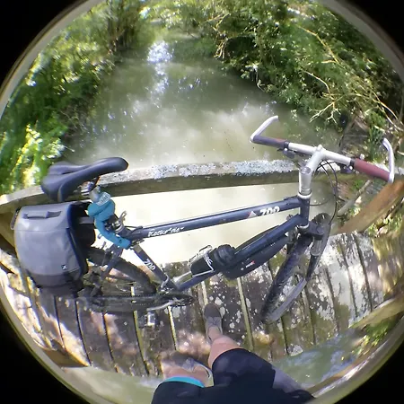 Tournesol -gites Au Bas Marais דירה Nalliers (Vendee)