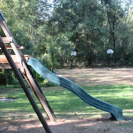 Tournesol -gites Au Bas Marais *