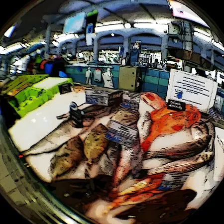 Tournesol -gites Au Bas Marais Nalliers (Vendee)