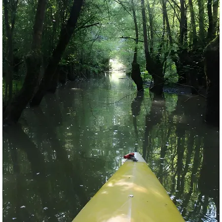 Tournesol -gites Au Bas Marais Nalliers (Vendee)