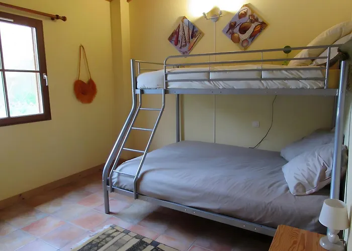 Tournesol -gites Au Bas Marais Nalliers (Vendee)