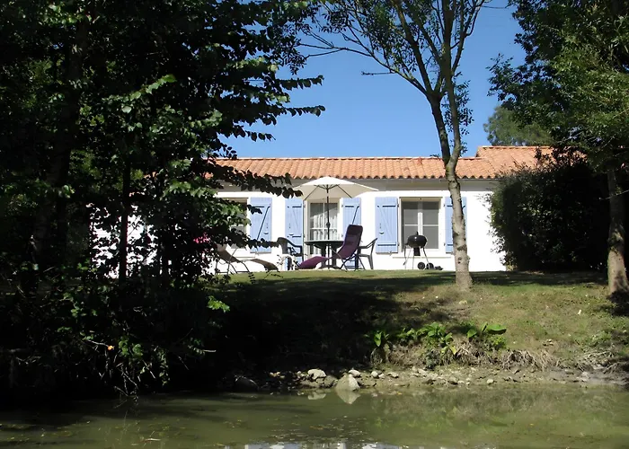Tournesol -gîtes Au Bas Marais Nalliers (Vendee)