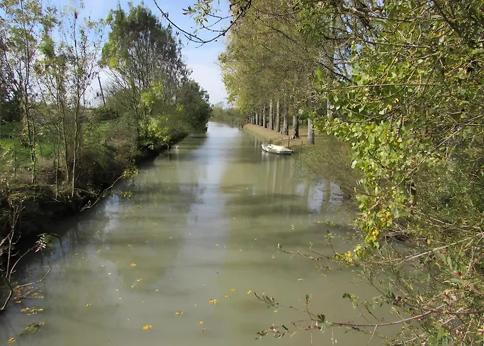 Apartamento Tournesol -gites Au Bas Marais