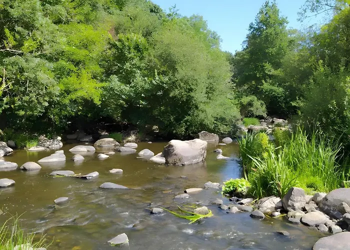 Apartamento Tournesol -gites Au Bas Marais Nalliers (Vendee)
