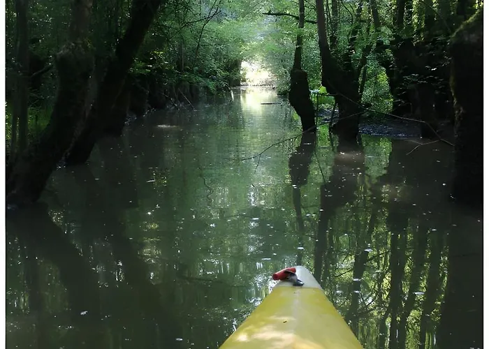 Tournesol -gîtes Au Bas Marais Nalliers (Vendee)